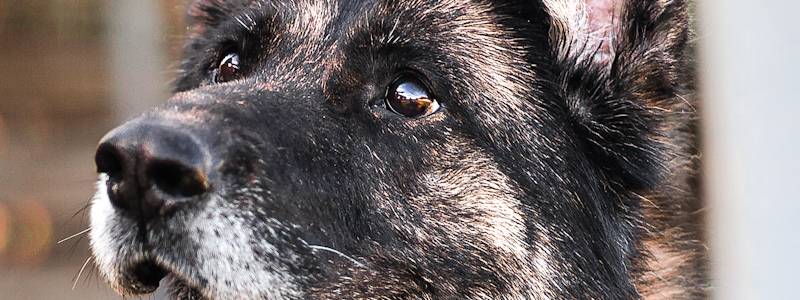 Lady i jej droga do zdrowia