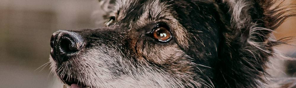 Serdecznie dziękujemy Fundacji Studenckiej Młodzi Młodym oraz Darczyńcom